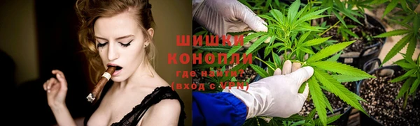 дживик Баксан