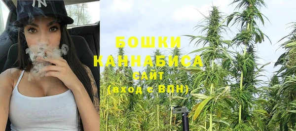 винт Заречный