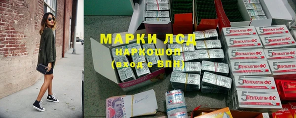 дживик Баксан